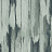Обои Designers Guild Palasini PDG645/07