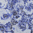 Обои Designers Guild Palasini PDG647/07
