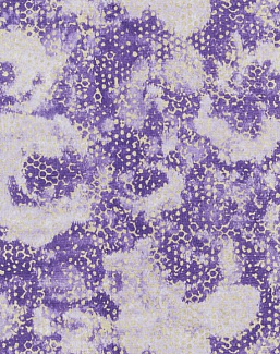 Обои Designers Guild Palasini PDG647/09