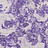 Обои Designers Guild Palasini PDG647/09