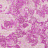 Обои Designers Guild Palasini PDG647/10