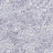 Обои Designers Guild Sukumala PDG640/11
