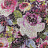Обои Designers Guild Sukumala PDG642/01