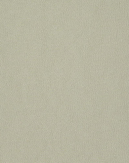 Ткань Designers Guild Satinato 2 F1555/06