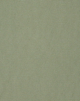 Ткань Designers Guild Satinato 2 F1555/12