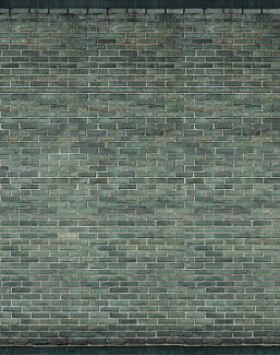 Панно и фотообои Rebel Walls No 7 Curious R14211