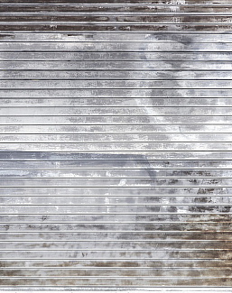 Панно и фотообои Rebel Walls No 7 Curious R14231