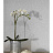 Обои Arthouse Textures Naturale 698007
