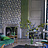 Обои Designers Guild Tulipa Stellata PDG1030/01