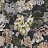 Обои Designers Guild Tulipa Stellata PDG1033/01