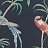 Обои Romo Pluma Wallcovering W444/05
