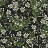 Обои York Rifle Paper Co. Second Edition RP7384