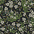 Обои York Rifle Paper Co. Second Edition RP7384