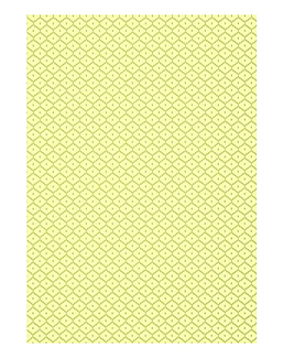 Обои Thibaut Caravan T64172