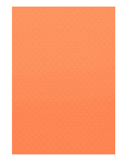Обои Thibaut Caravan T64175