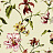 Обои Jaima Brown Charleston Home JB50106
