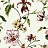 Обои Jaima Brown Charleston Home JB50110
