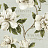 Обои Jaima Brown Charleston Home JB50405
