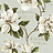 Обои Jaima Brown Charleston Home JB50405