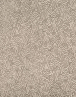 Ткань Prestigious Textiles Dimension Weaves 3875/535