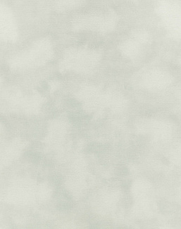 Обои Kirkby Design Wallcoverings vol.1 WK818/01