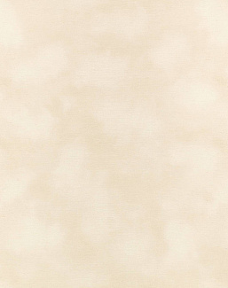 Обои Kirkby Design Wallcoverings vol.1 WK818/02