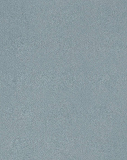 Обои Phillip Jeffries Tailored Walls 8870
