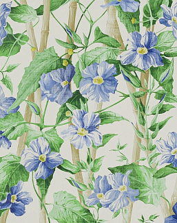 Обои Manuel Canovas Papiers Peints vol.8 03114-03