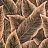 Обои Arte Decors & Panoramiques 97570