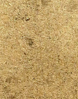 Обои Yana Svetlova Wallcoverings Gold Leaf GT-75037