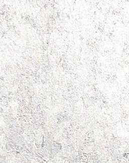 Обои Yana Svetlova Wallcoverings Gold Leaf GT-75035