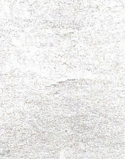 Обои Yana Svetlova Wallcoverings Gold Leaf GT-75021