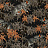 Обои Santorus Collection 1 WP020213