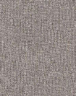 Обои York Viva La Art DG0544