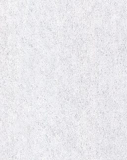 Обои Arte Monochrome 54170