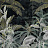 Обои Casamance Manille 74840272