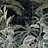 Обои Casamance Manille 74840272