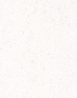 Обои Caselio Beton 101480000