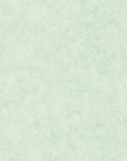 Обои Caselio Beton 101487400
