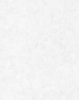 Обои Caselio Beton 101489000