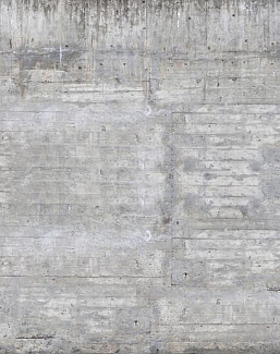 Панно и фотообои Rebel Walls Best Of R15001