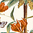 Обои Grandeco Jungle Fever JF2002