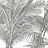Обои Grandeco Jungle Fever JF3501