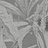 Обои Phillip Jeffries Gallery 5577