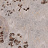 Обои Glamora Creative Wallcovering GLX761A