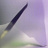 Обои Glamora Creative Wallcovering GLX121A