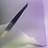 Обои Glamora Creative Wallcovering GLX121A