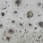 Обои Glamora Creative Wallcovering GLIX332A