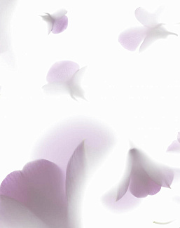 Обои Glamora Creative Wallcovering GL1061A