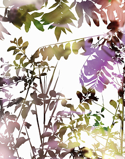 Обои Glamora Creative Wallcovering GL5132A
